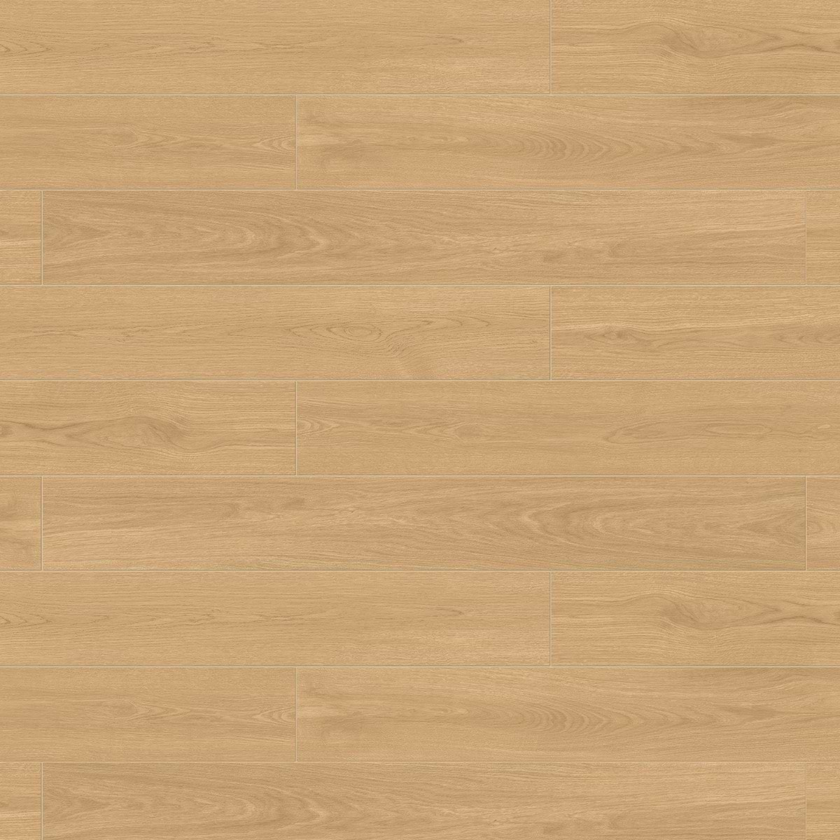 Oaktree Elegant Pale Brown X Xl Wood Look Matte Porcelain Tile