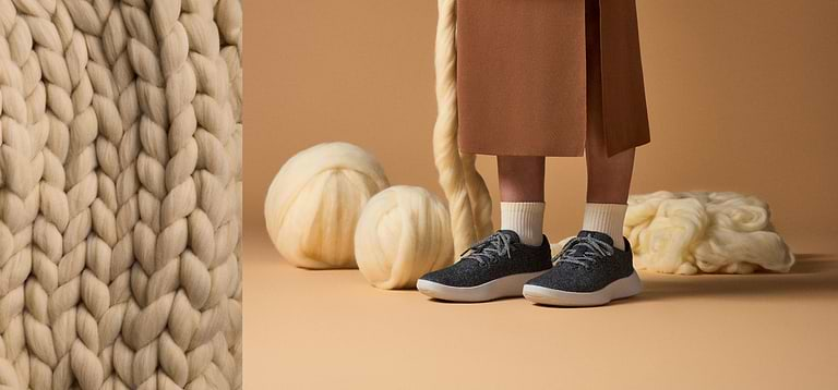 Allbirds Korea Case Study