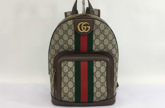 Gucci Backpack 381000