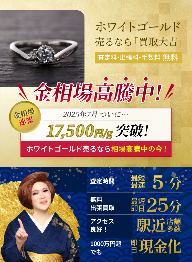 10/23　在庫処分　最終価格　ゴールドシリーズ　クレンジング Amazon.co.jp: キンボシ(Kinboshi) GS 刃付けジョレン1200mm柄