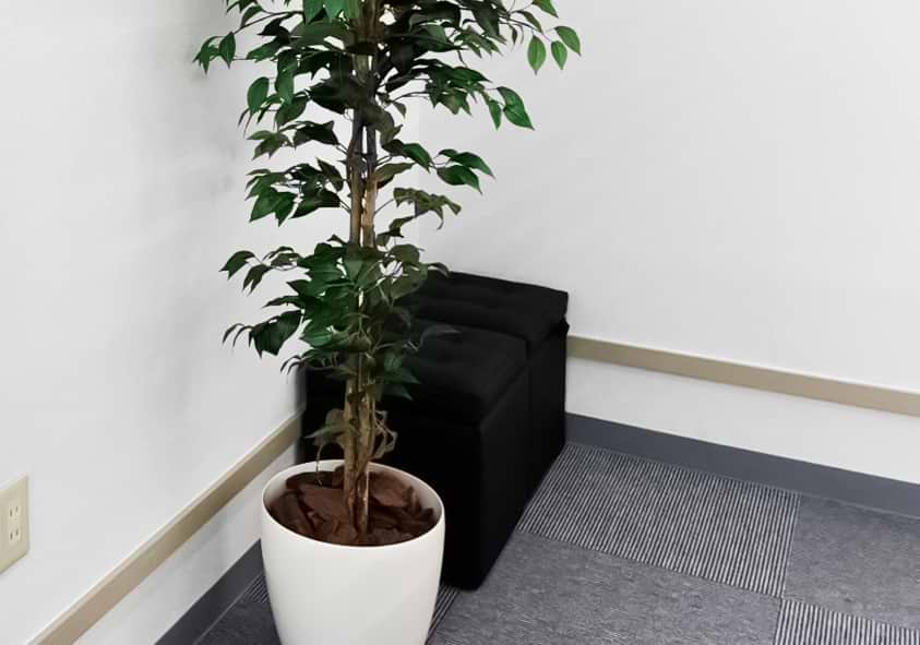 買取大吉 苫小牧双葉町店