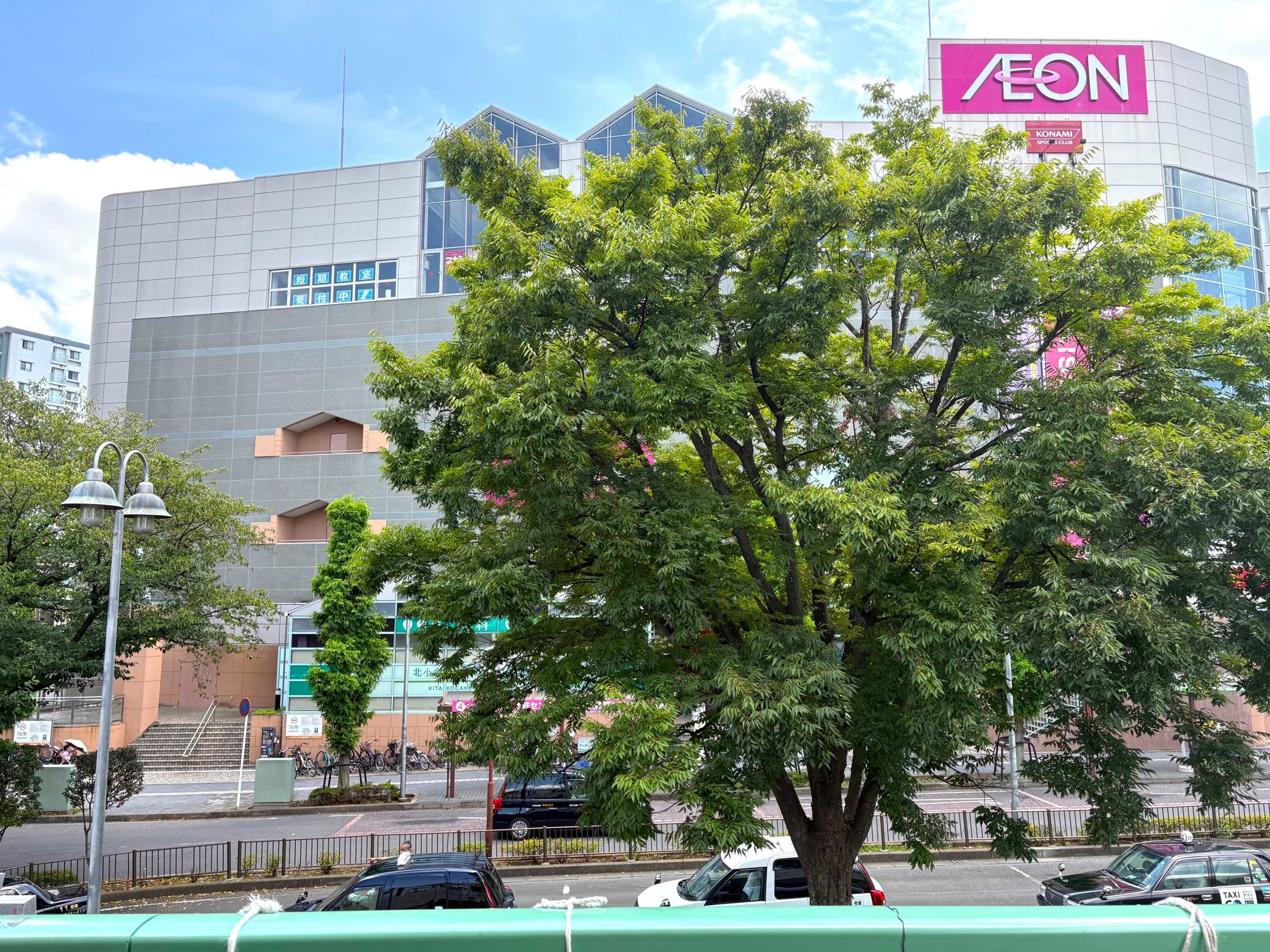 突き当りにイオン北小金店が見えます