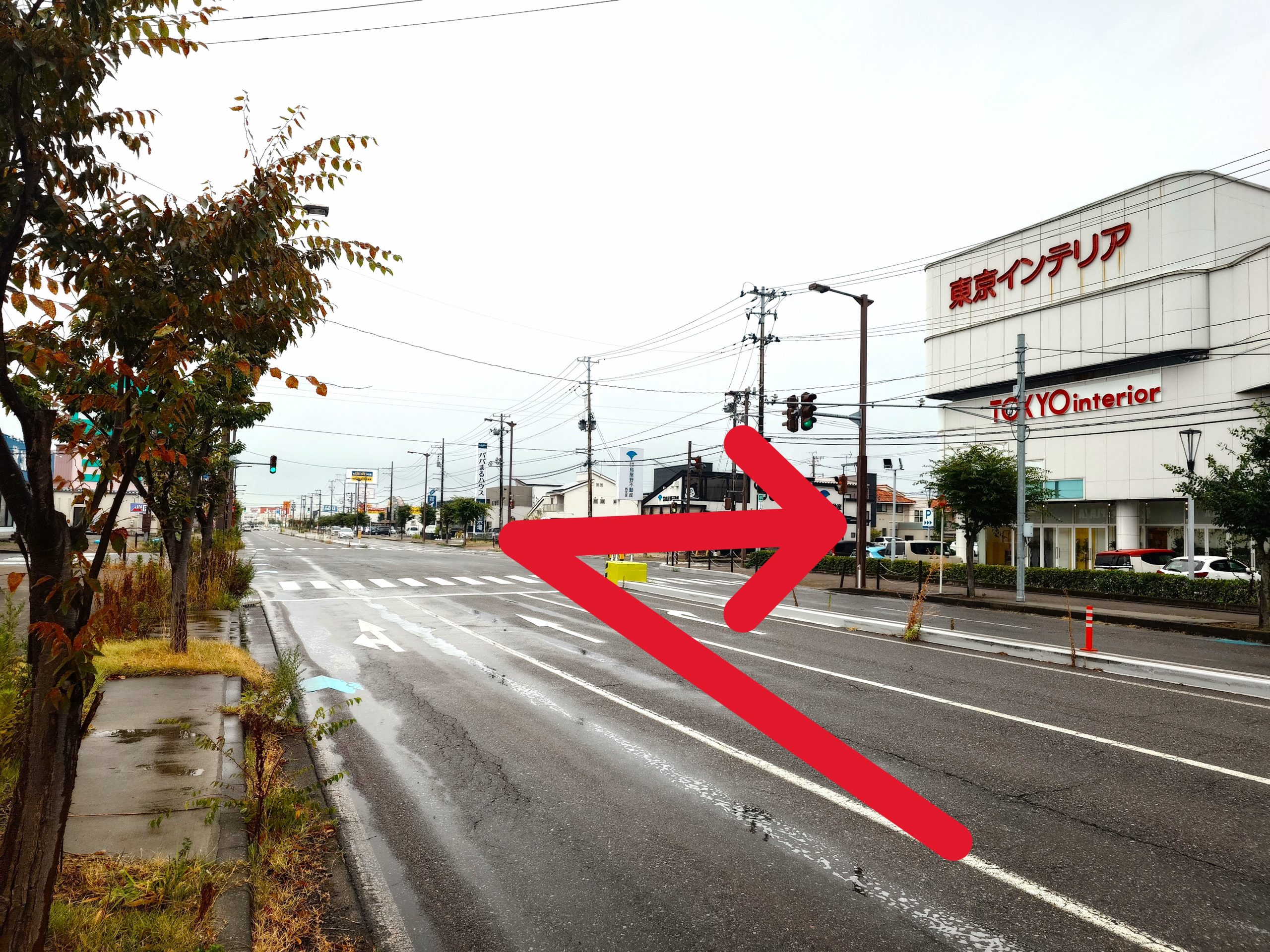 イオン新潟西店を左手に小新亀貝線へ進み、東京インテリア家具 新潟店を目印に交差点を右折します