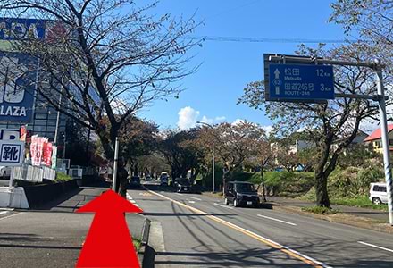 右に曲がるとヤマダ電機が見えるのでそのまま進みます。