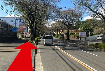 ヤマダ電機を超えてまっすぐ進むと西松屋が見えてきます。