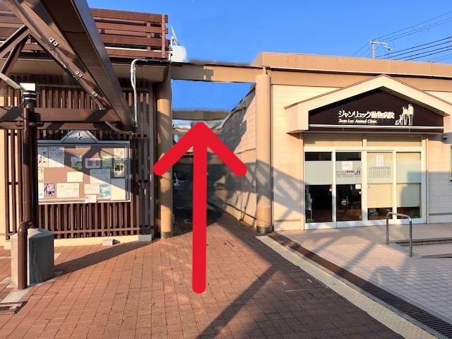 ジャンリュック動物病院の左手にある通路を抜けると、すぐ右手に当店がございます