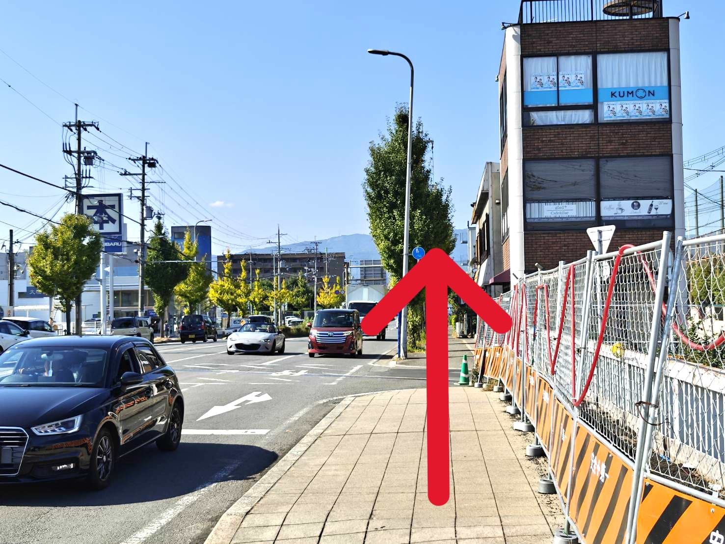 府道203号線を200ｍほど直進すると、右手に当店がございます