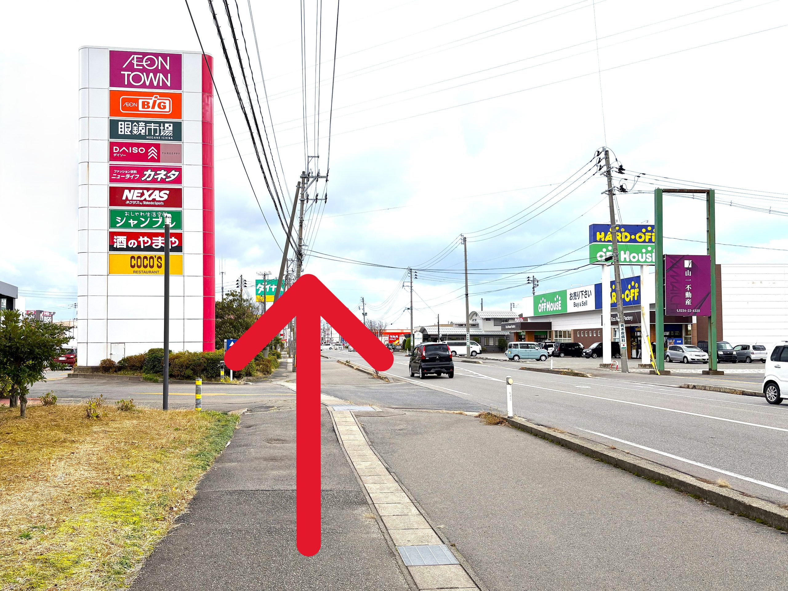 イオンタウン酒田を左手に県道353号線沿いを南進します