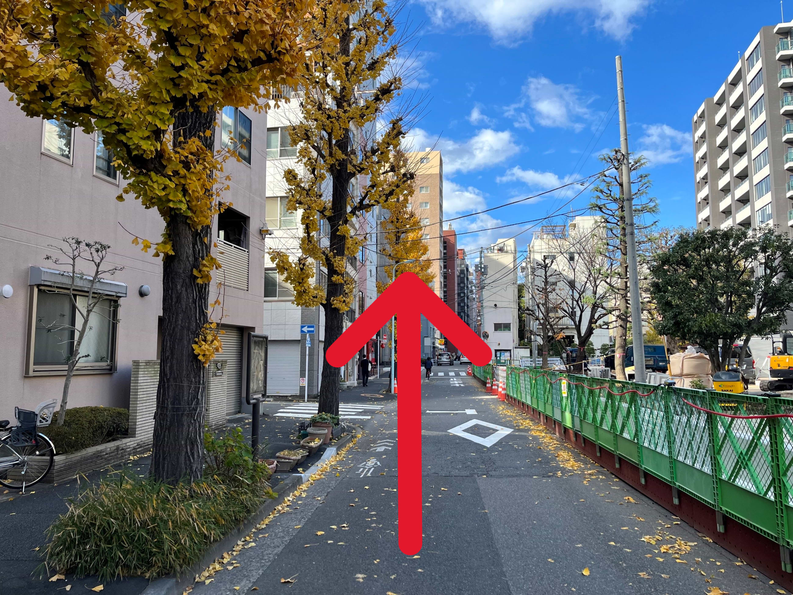 突き当たりを左折し、30ｍほど直進します