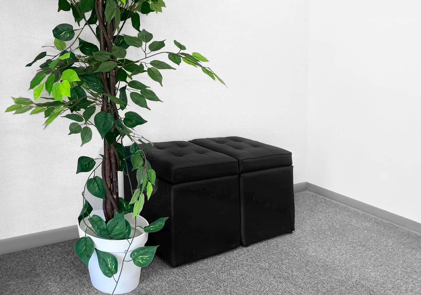 買取大吉 藤井寺野中店