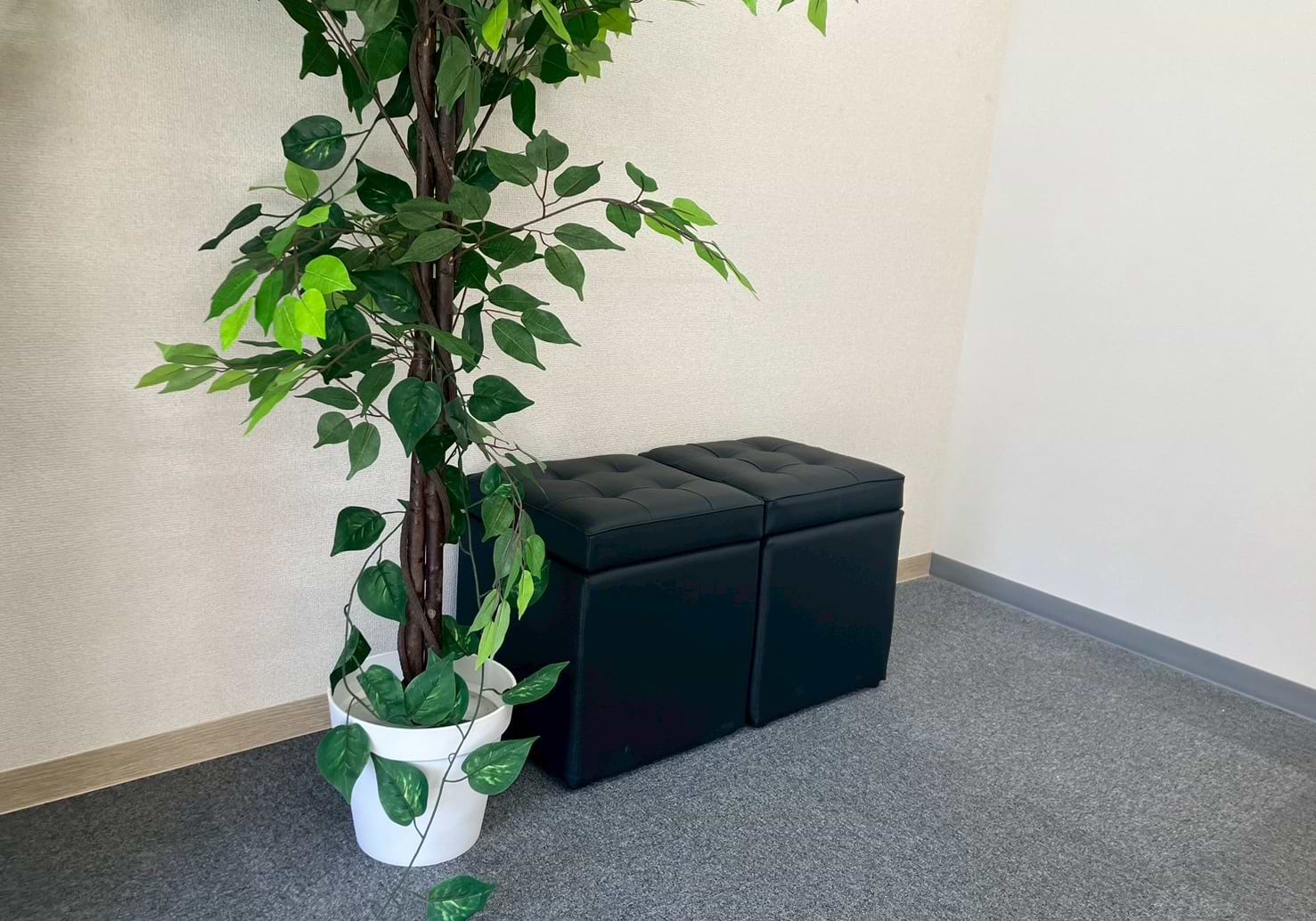 買取大吉 藤井寺野中店