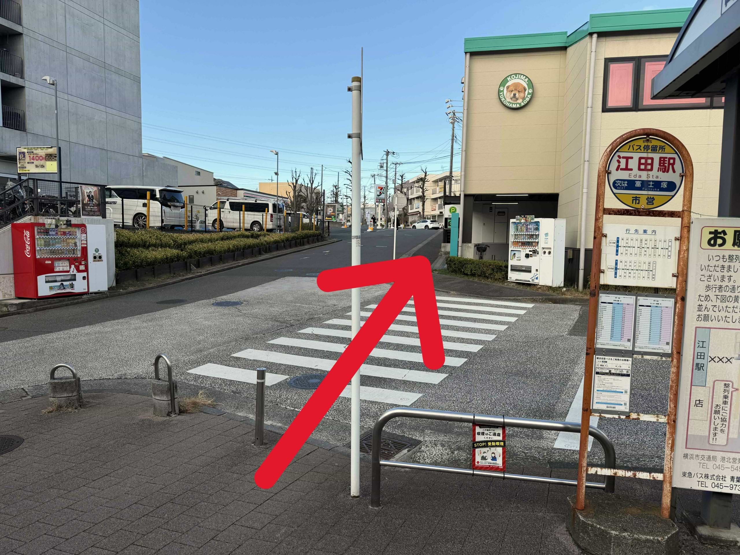 駅前のバス停横の横断歩道を渡ります