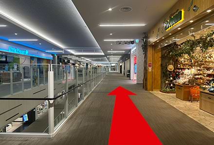 上がったら、そのまま道なりに進みます。