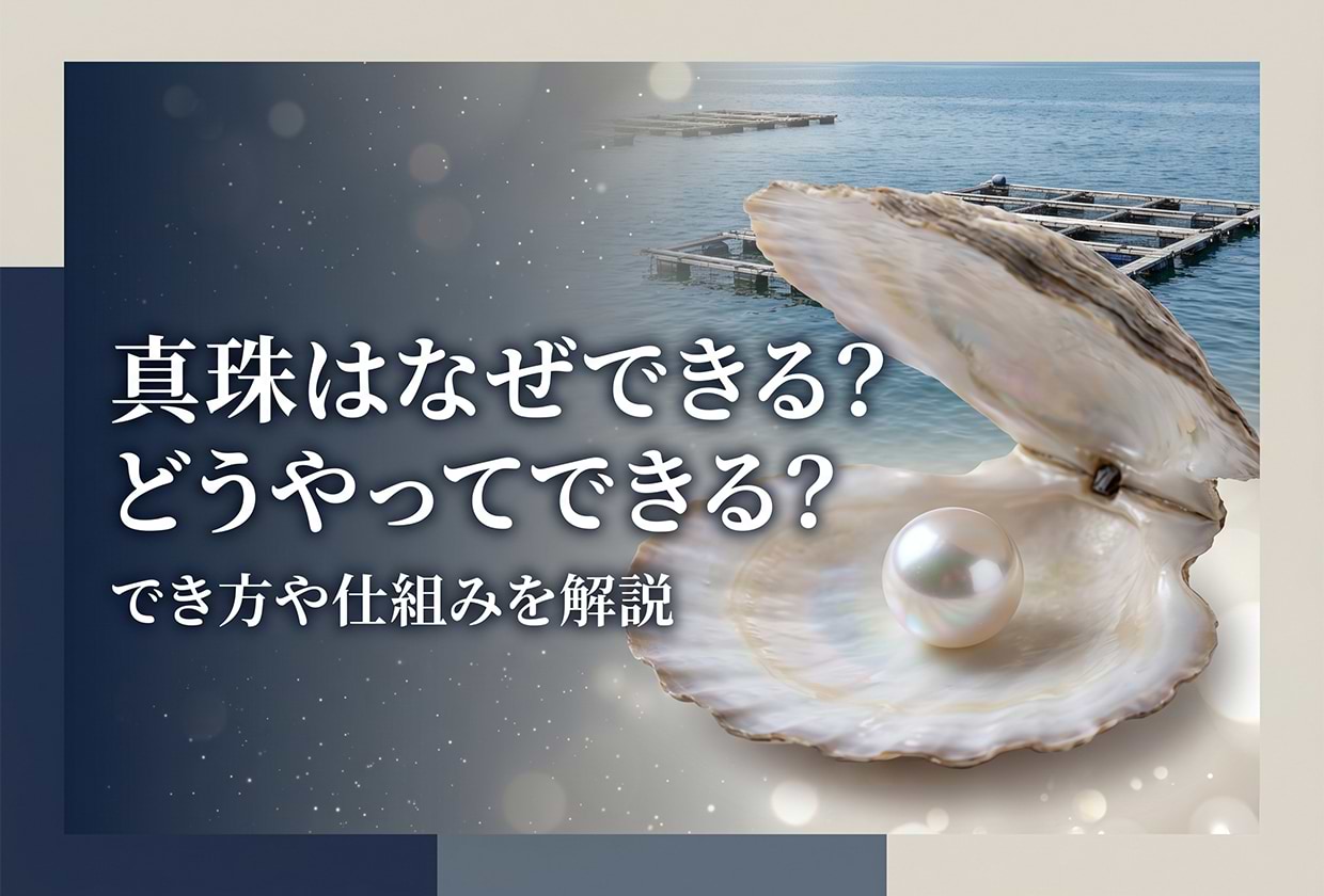 真珠はなぜできる? どうやってできる? でき方や仕組みを解説
