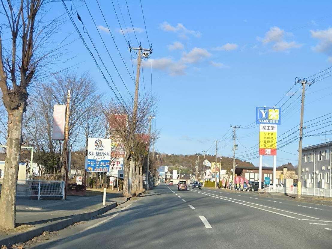 右手に「薬王堂」左手に「イオンタウン江刺」が見えてくるので、左折してイオンタウン江刺の駐車場に入ります。