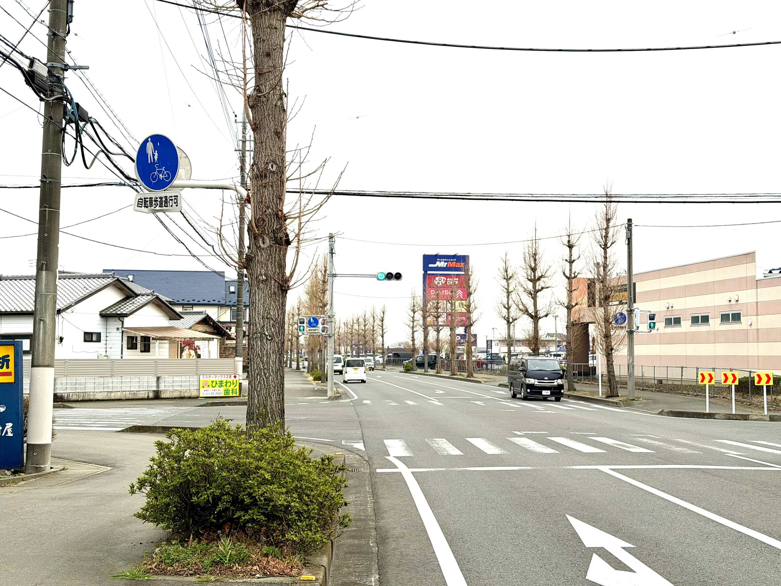 【駒形方面からお越しの場合】<br>ミスターマックス様北側にある信号を南に直進すると右側に当店が見えてまいります