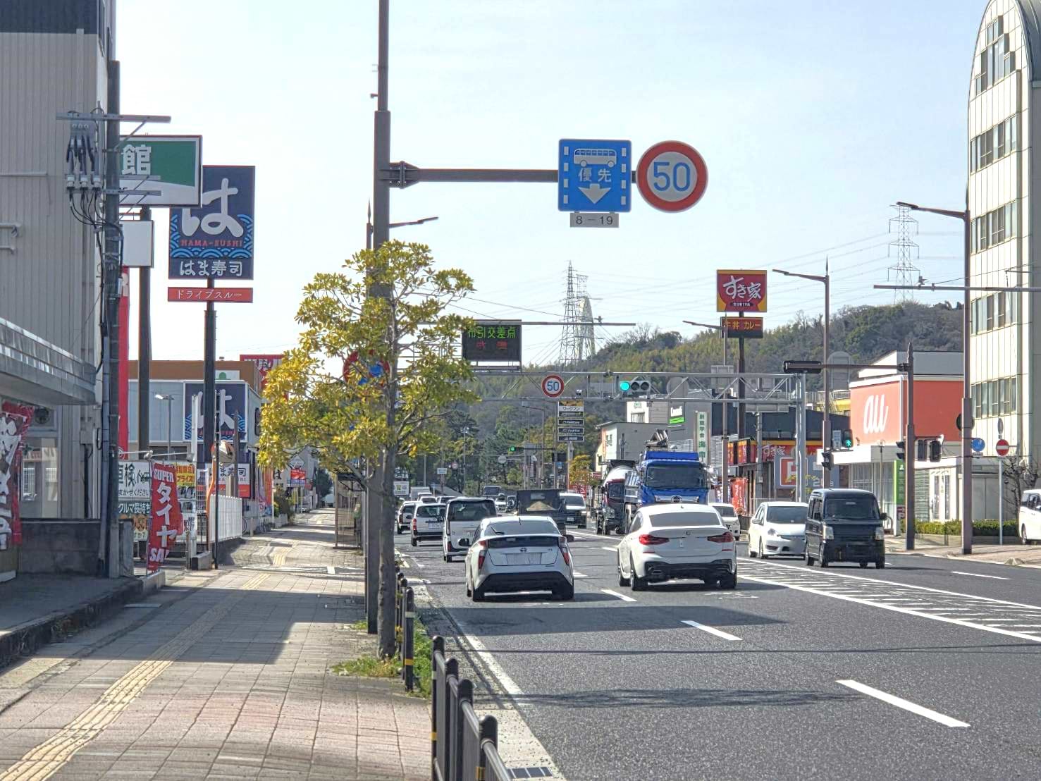 左手に「はま寿司 海南店」、右手に「すき家 42号海南店」を通過します