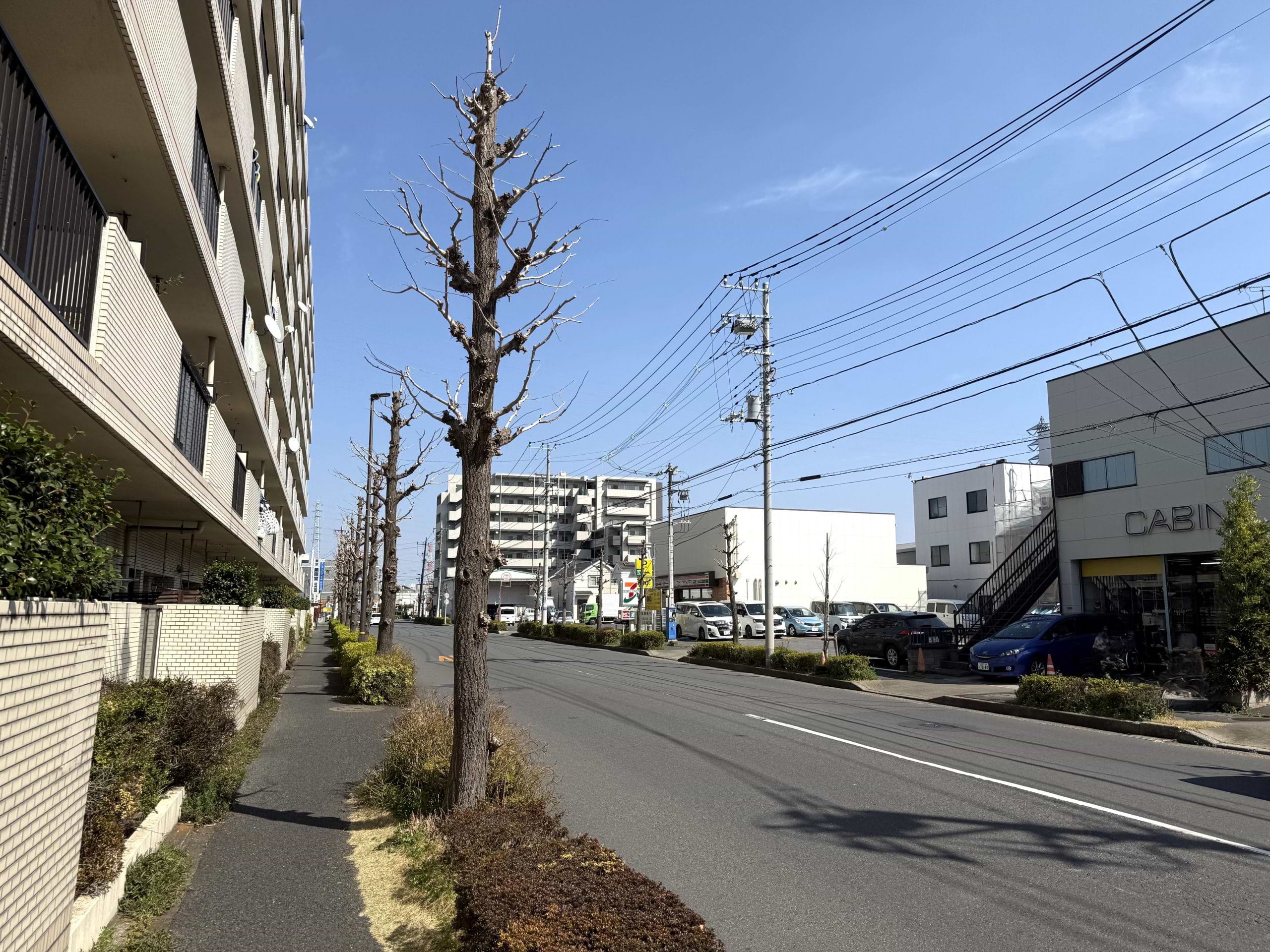 セブン-イレブン 足立東保木間店を右手に通過します