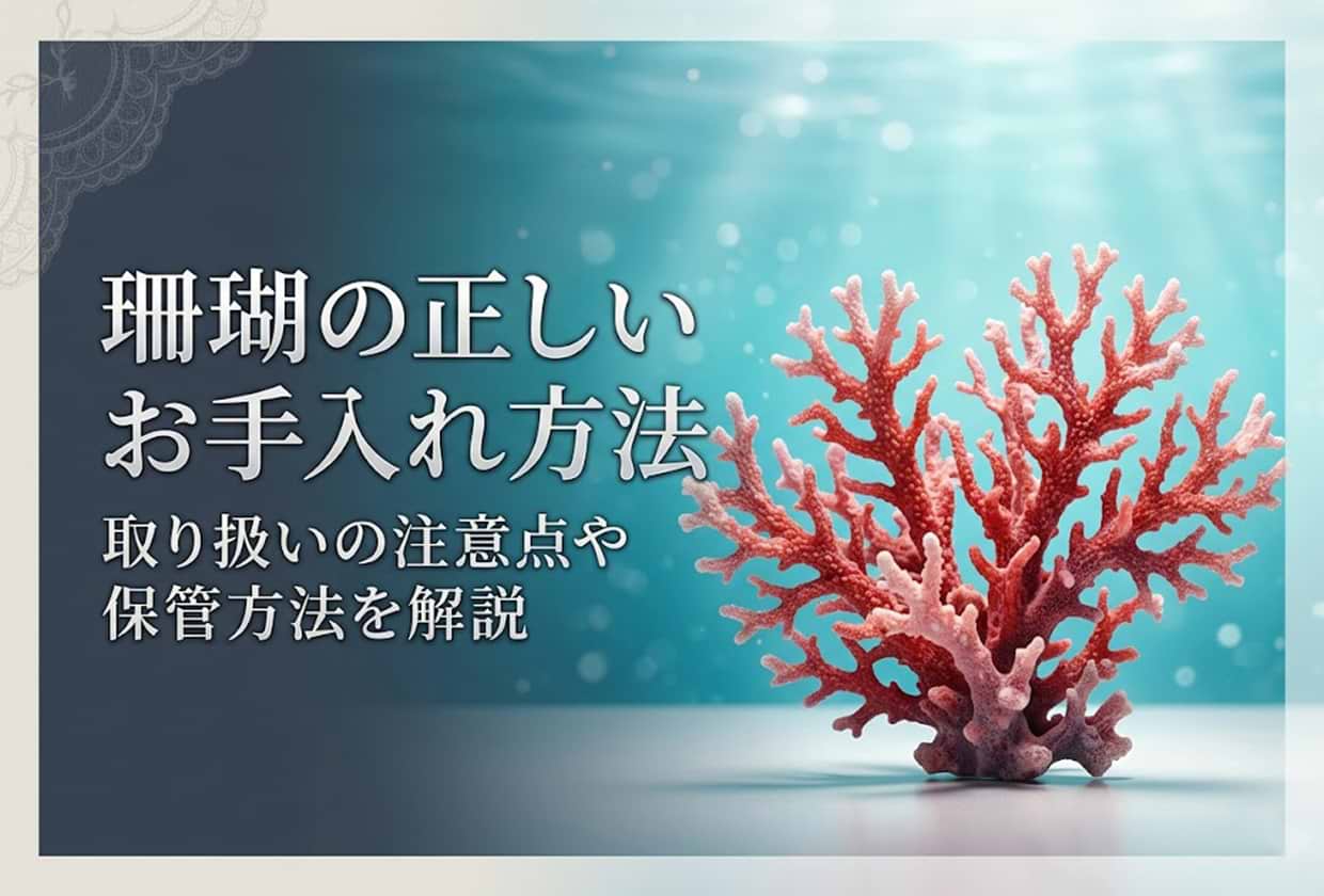 珊瑚の正しいお手入れ方法|取り扱いの注意点や保管方法を解説