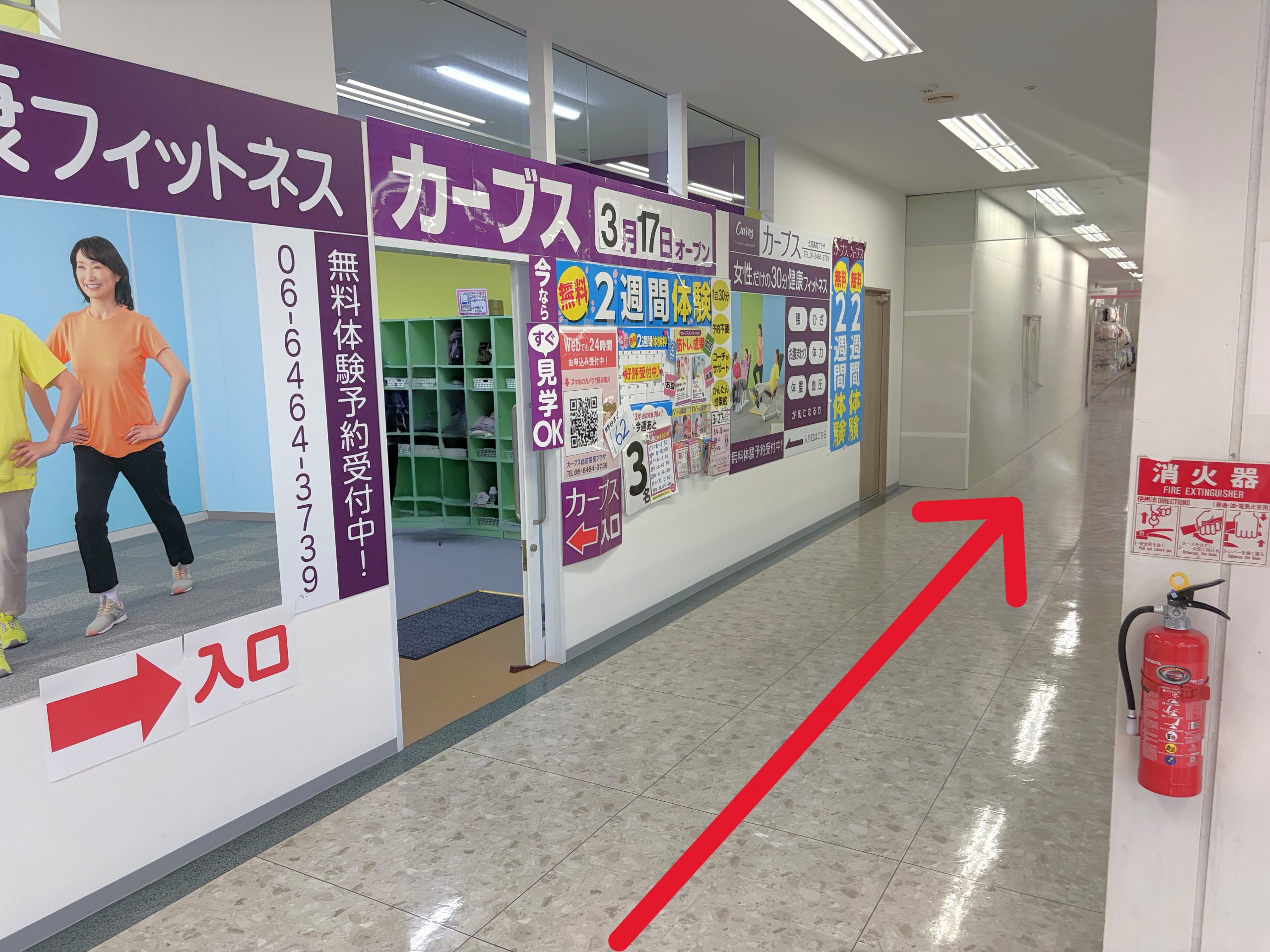 右に回るとカーブスがございます。<br>その奥に当店がございます