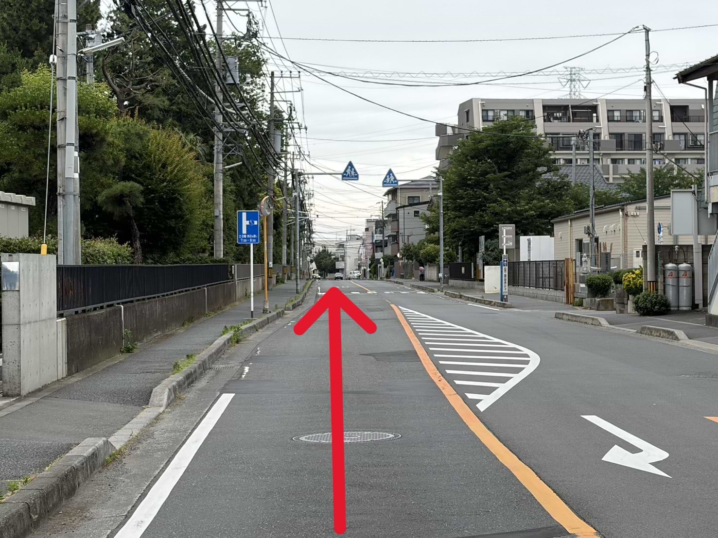 立教大学 新座キャンパスを左手に、600mほど直進します