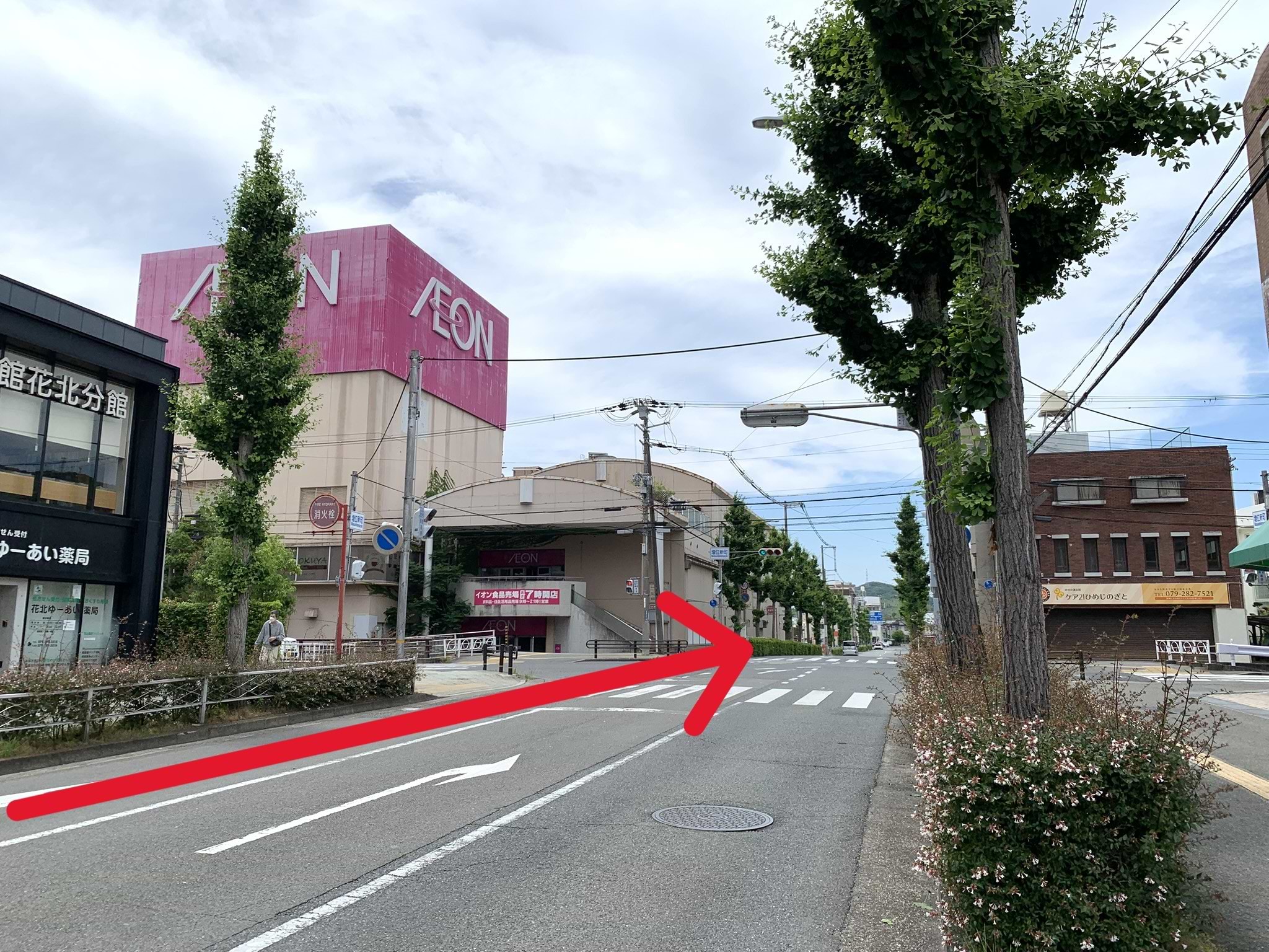 イオン姫路店が左手に見えてきます。交差点を直進した先、イオン姫路店の向かいに当店がございます