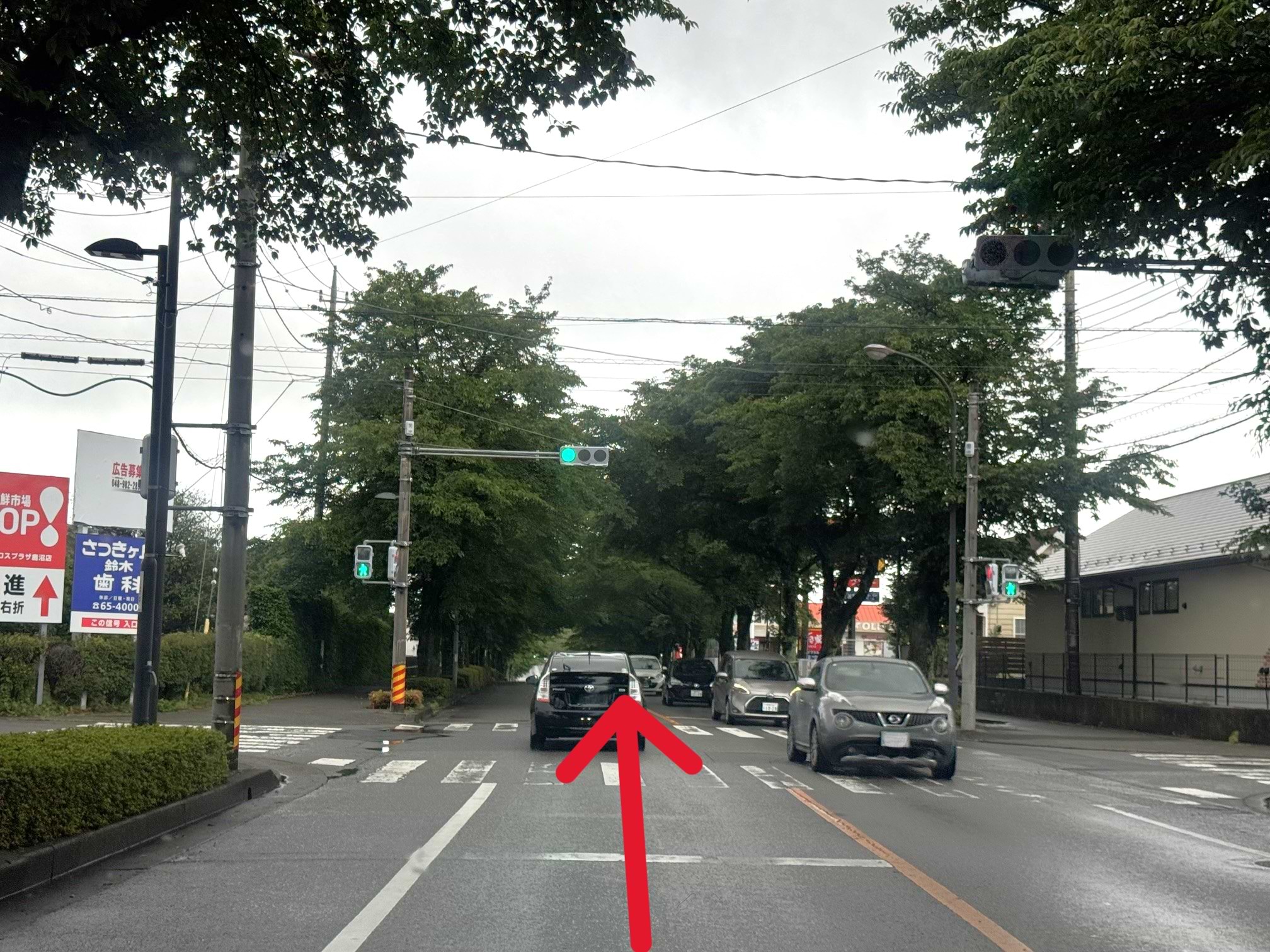 桜並木で有名なさつき大通りを直進します