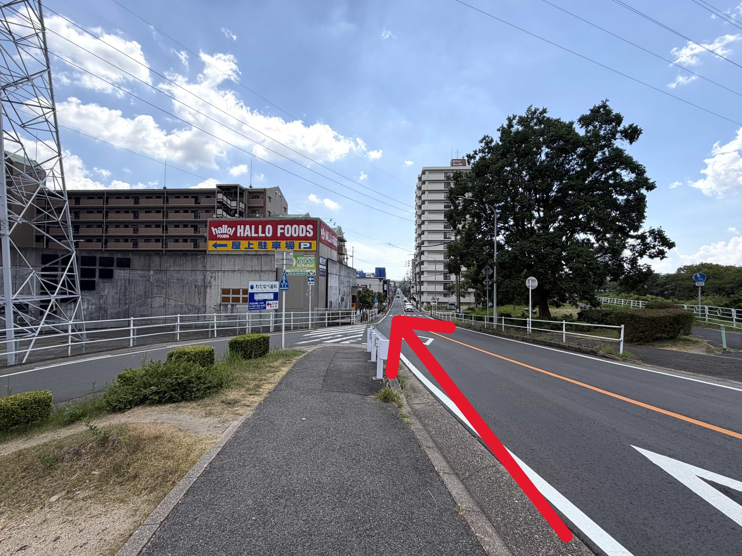 植田駅から南の方角へ進み、天白川を越えるとハローフーヅ天白店が見えてきます