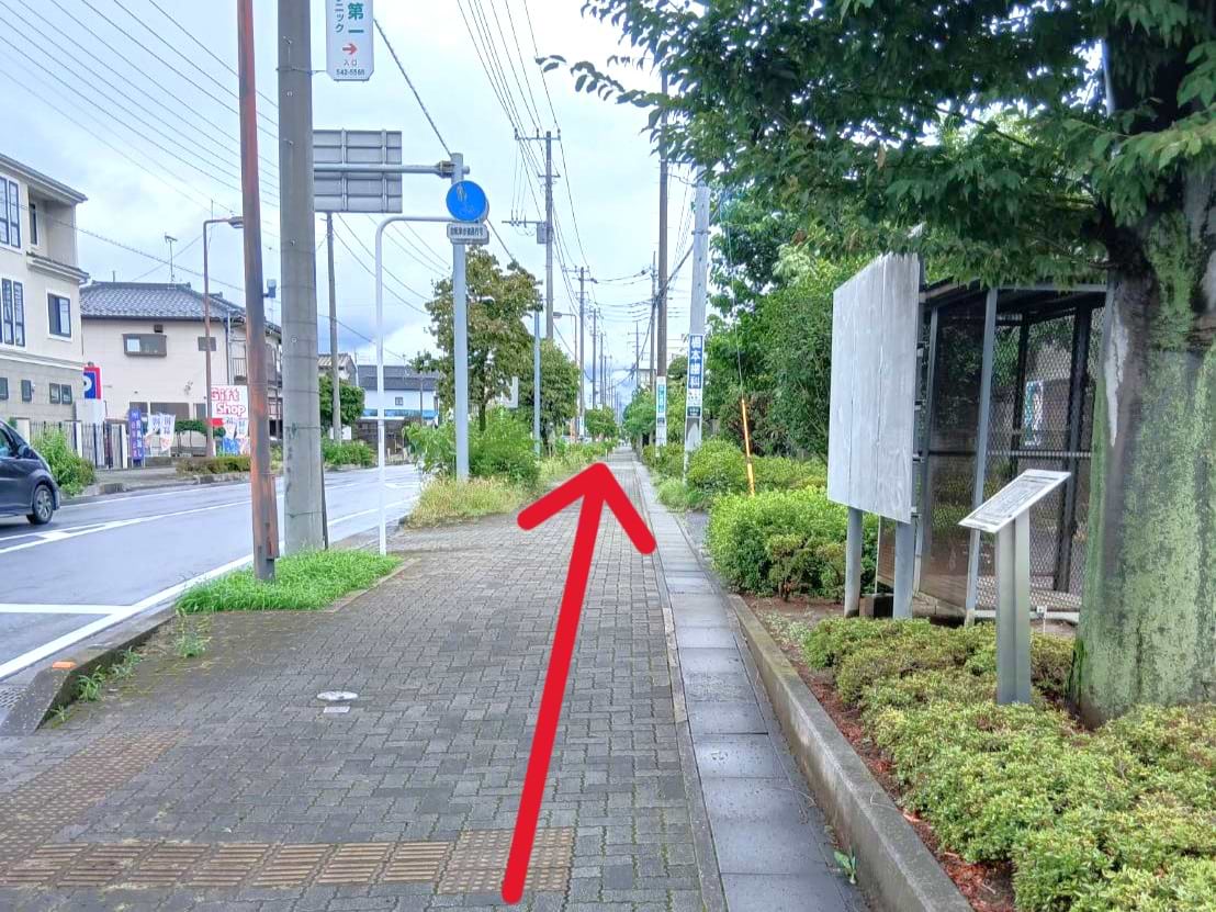 横断歩道を渡って左折し、そのまま直進します