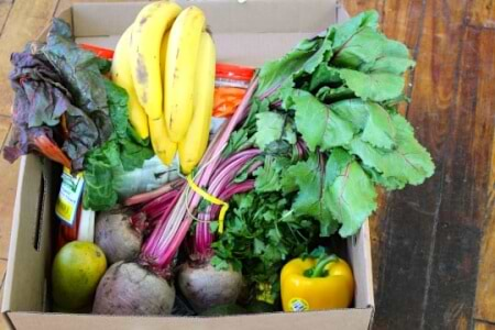 What's In My Organics Delivery Box - Video thumbnail