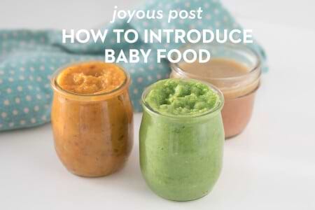 Baby Food Introduction thumbnail