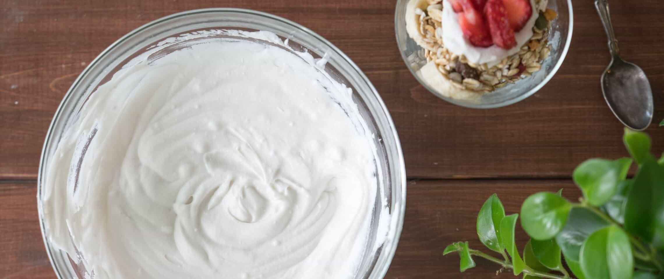 How To Make Coconut Yogurt In An Instant Pot, Oven or Yogurt Maker