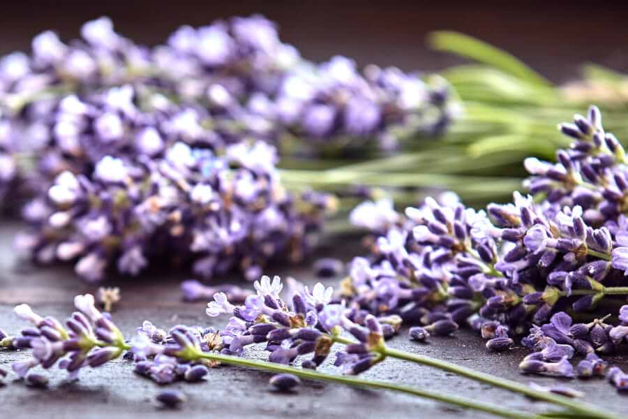 Top 8 Health & Beauty Benefits of Lavender thumbnail