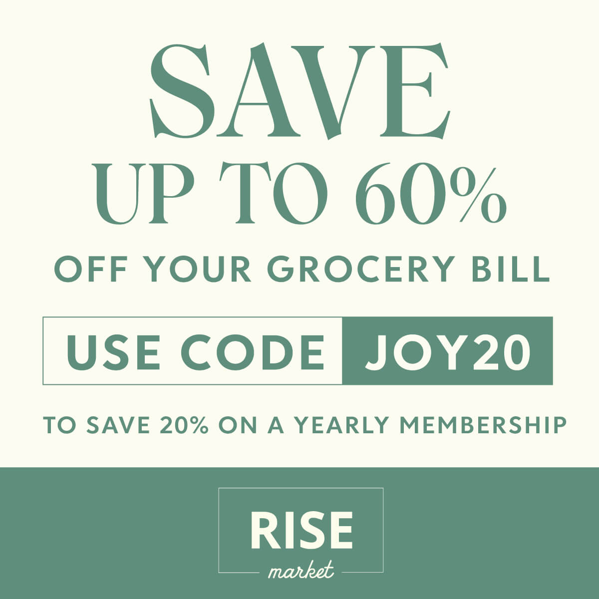 Roast Chicken Noodle Soup • Joyous Health