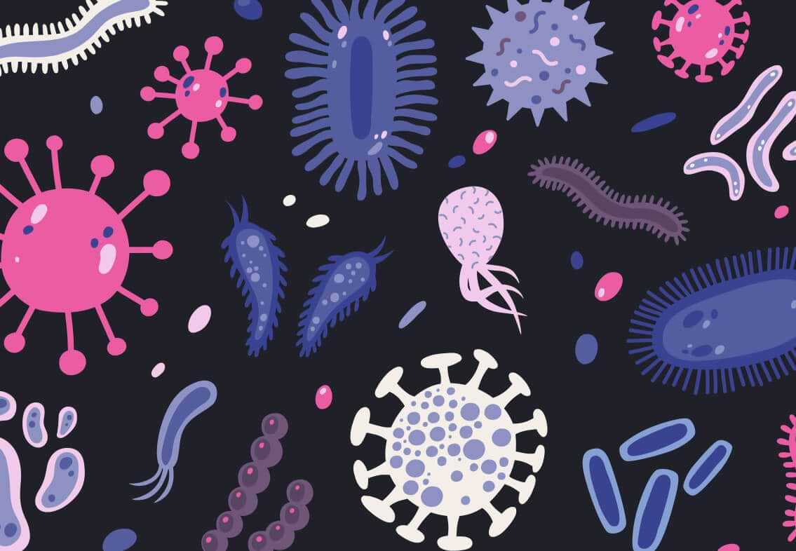 Microbes in the microbiome