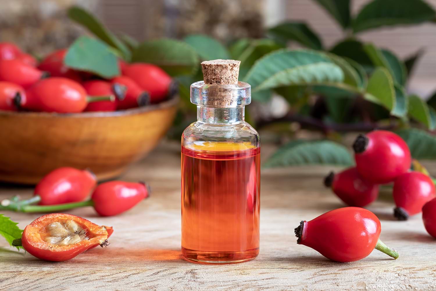 Rosehip oil skin benefits