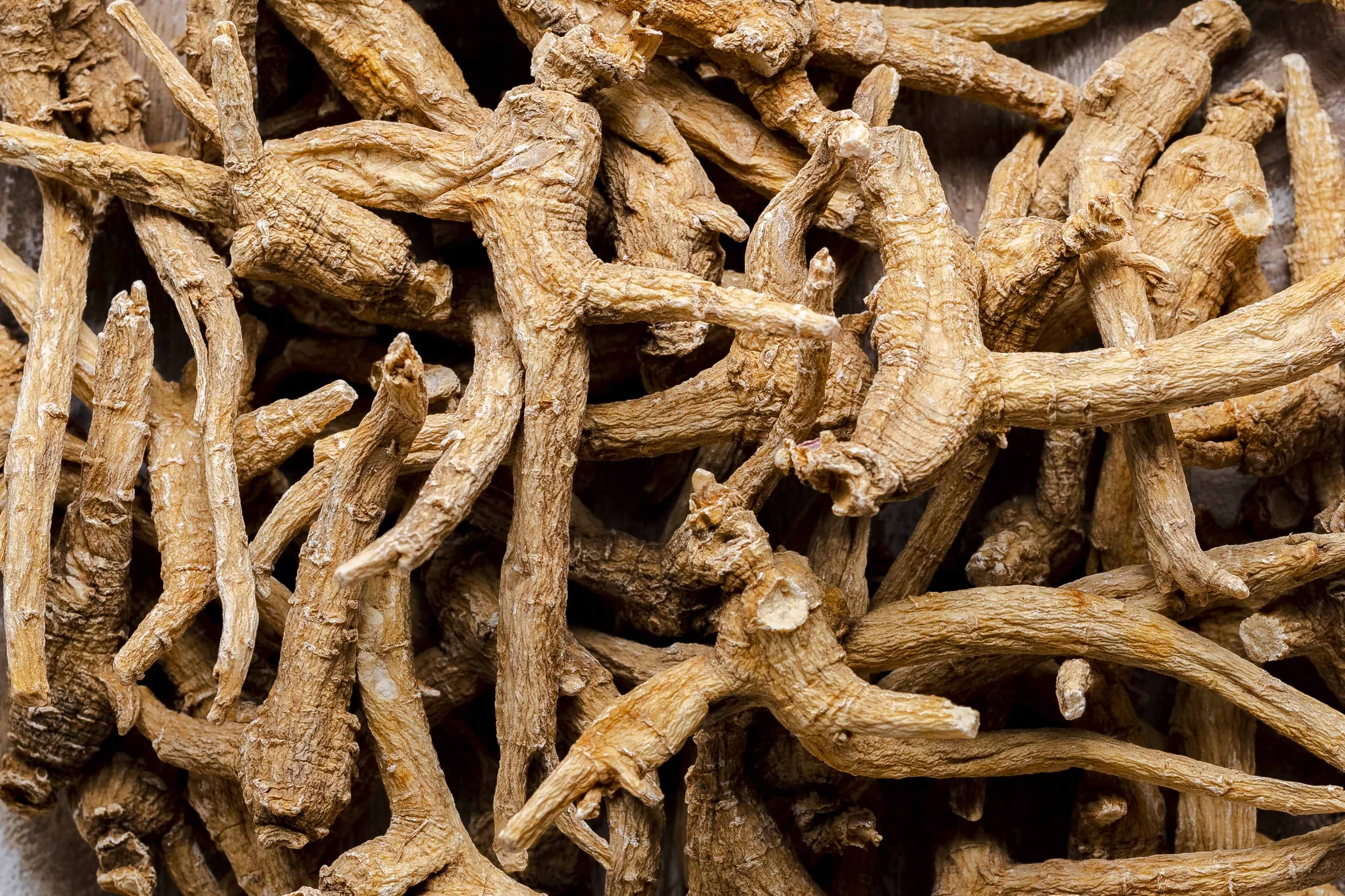 Canadian Ginseng Root