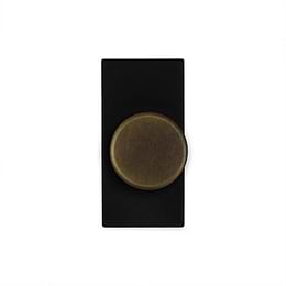Soho Lighting Old Brass 6A Dummy LT2-Dimmer Switch