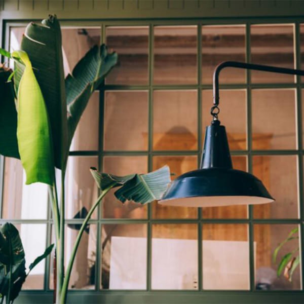 Biophilic Home Office Design Ideas