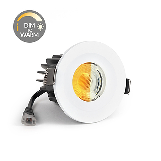 Dim to Warm CCT Downlights