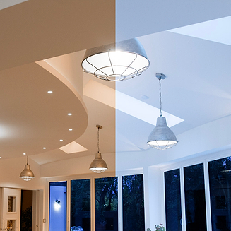 Cool White LED Bulbs (3600K-4900K)