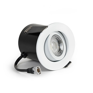 Tiltable LED Downlights