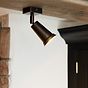 Pimlico Single Spot Light