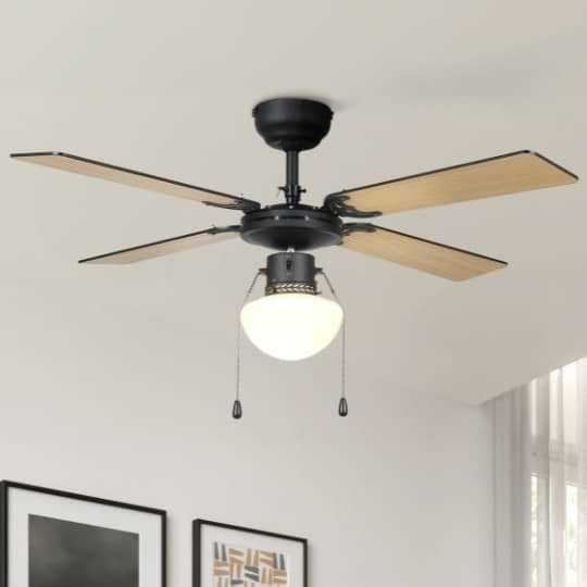 Eglo Fortaleza Black Matt E27 Ceiling Fan with Light