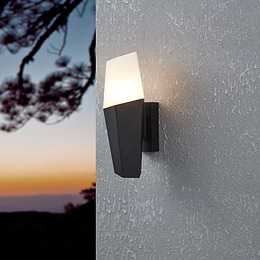 Eglo Farindola Black Outdoor E27 Wall Light IP44