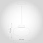 Goslett Clear Blown Glass Fish Bowl Pendant Light