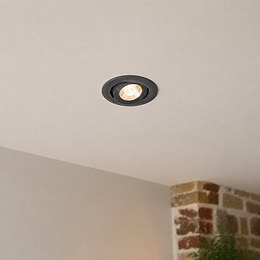 Grey Adjustable Downlights