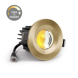 Brushed Brass Dim to Warm Downlight
