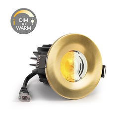 Brushed Gold Dim to Warm Downlight
