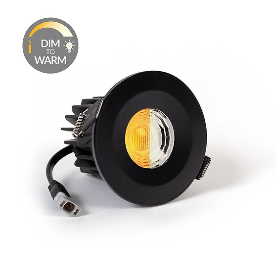 Brass Dim to Warm Downlight
